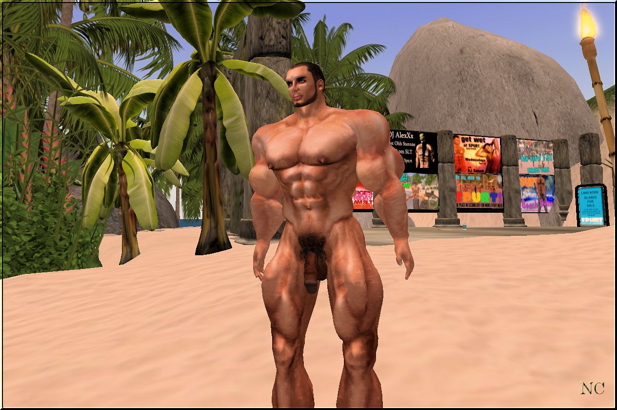 secretly gay chat room christmas shemale